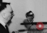 Image allemand parrot nom de Wilhelm Hambourg Allemagne, 1962, de la seconde 26 séquences d'archives historiques vidéo 65675055847