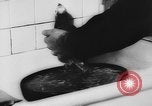 Image allemand parrot nom de Wilhelm Hambourg Allemagne, 1962, de la seconde 33 séquences d'archives historiques vidéo 65675055847