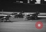 Image of Trotting Championship New York United States USA, 1962, second 49 stock footage video 65675055855