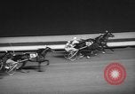 Image of Trotting Championship New York United States USA, 1962, second 52 stock footage video 65675055855