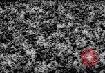 Image of 1962 World Series Baseball Championship San Francisco California USA, 1962, second 62 stock footage video 65675055856
