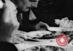 Image of eating bulbs Berlin Germany, 1962, second 31 stock footage video 65675055858