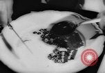 Image of eating bulbs Berlin Germany, 1962, second 41 stock footage video 65675055858
