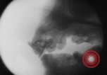 Image of eating bulbs Berlin Germany, 1962, second 48 stock footage video 65675055858