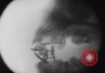 Image of eating bulbs Berlin Germany, 1962, second 49 stock footage video 65675055858