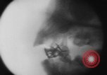 Image of eating bulbs Berlin Germany, 1962, second 50 stock footage video 65675055858