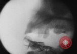 Image of eating bulbs Berlin Germany, 1962, second 51 stock footage video 65675055858