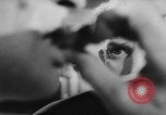 Image of eating bulbs Berlin Germany, 1962, second 60 stock footage video 65675055858