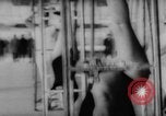 Image of Rhoen Wheel Germany, 1962, second 19 stock footage video 65675055859