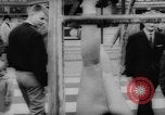 Image of Rhoen Wheel Germany, 1962, second 35 stock footage video 65675055859
