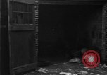 Image of over two million dollars discovered in car Jersey City New Jersey USA, 1962, second 11 stock footage video 65675055863