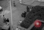 Image of French troops Algeria, 1962, second 47 stock footage video 65675055866