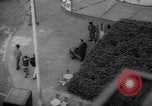 Image of French troops Algeria, 1962, second 48 stock footage video 65675055866