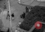 Image of French troops Algeria, 1962, second 49 stock footage video 65675055866