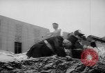 Image of Mardi Gras event New Orleans Louisiana USA, 1962, second 30 stock footage video 65675055867