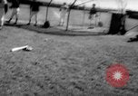 Image of Major League Baseball teams in spring training Fort Lauderdale Florida USA, 1962, second 40 stock footage video 65675055871