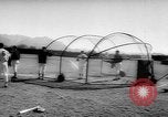 Image of Major League Baseball teams in spring training Fort Lauderdale Florida USA, 1962, second 41 stock footage video 65675055871