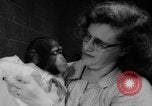 Standbild Frau Bernard Gallagher Washington DC USA, 1962, aus Sekunde 48 historischem Filmmaterial Videoclip 65675055877