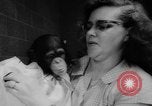 Standbild Frau Bernard Gallagher Washington DC USA, 1962, aus Sekunde 49 historischem Filmmaterial Videoclip 65675055877
