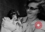 Standbild Frau Bernard Gallagher Washington DC USA, 1962, aus Sekunde 50 historischem Filmmaterial Videoclip 65675055877