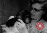 Standbild Frau Bernard Gallagher Washington DC USA, 1962, aus Sekunde 52 historischem Filmmaterial Videoclip 65675055877