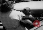 Standbild Frau Bernard Gallagher Washington DC USA, 1962, aus Sekunde 60 historischem Filmmaterial Videoclip 65675055877