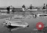Immagine di Crash di American Airlines volo 1 in Giamaica Bay New York United States USA, 1962, secondo 29 filmato di repertorio 65675055878