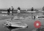 Immagine di Crash di American Airlines volo 1 in Giamaica Bay New York United States USA, 1962, secondo 31 filmato di repertorio 65675055878
