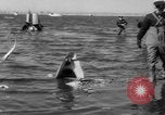 Immagine di Crash di American Airlines volo 1 in Giamaica Bay New York United States USA, 1962, secondo 34 filmato di repertorio 65675055878