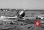 Immagine di Crash di American Airlines volo 1 in Giamaica Bay New York United States USA, 1962, secondo 37 filmato di repertorio 65675055878