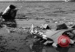 Immagine di Crash di American Airlines volo 1 in Giamaica Bay New York United States USA, 1962, secondo 39 filmato di repertorio 65675055878