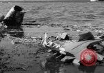 Immagine di Crash di American Airlines volo 1 in Giamaica Bay New York United States USA, 1962, secondo 40 filmato di repertorio 65675055878