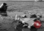 Immagine di Crash di American Airlines volo 1 in Giamaica Bay New York United States USA, 1962, secondo 42 filmato di repertorio 65675055878