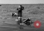 Immagine di Crash di American Airlines volo 1 in Giamaica Bay New York United States USA, 1962, secondo 43 filmato di repertorio 65675055878