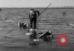 Immagine di Crash di American Airlines volo 1 in Giamaica Bay New York United States USA, 1962, secondo 44 filmato di repertorio 65675055878