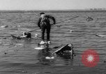 Immagine di Crash di American Airlines volo 1 in Giamaica Bay New York United States USA, 1962, secondo 45 filmato di repertorio 65675055878