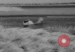 Immagine di Crash di American Airlines volo 1 in Giamaica Bay New York United States USA, 1962, secondo 55 filmato di repertorio 65675055878