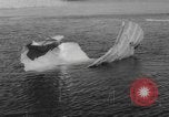 Immagine di Crash di American Airlines volo 1 in Giamaica Bay New York United States USA, 1962, secondo 59 filmato di repertorio 65675055878