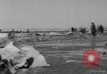 Immagine di Crash di American Airlines volo 1 in Giamaica Bay New York United States USA, 1962, secondo 60 filmato di repertorio 65675055878