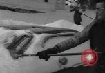 Immagine di Pesante tempesta di neve United States USA, 1962, secondo 13 filmato di repertorio 65675055884