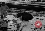 Immagine di Pesante tempesta di neve United States USA, 1962, secondo 45 filmato di repertorio 65675055884