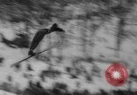 Image Championnat de ski National Fox River Grove Illinois USA, 1962, de la seconde 38 séquences d'archives historiques vidéo 65675055886