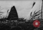 Image of annual sailing contest Holland Netherlands, 1961, second 40 stock footage video 65675055890