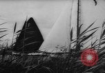 Image of annual sailing contest Holland Netherlands, 1961, second 42 stock footage video 65675055890