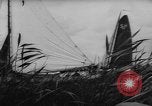 Image of annual sailing contest Holland Netherlands, 1961, second 48 stock footage video 65675055890