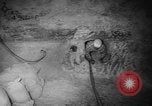 Image of Project Gnome New Mexico United States USA, 1961, second 58 stock footage video 65675055894