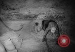 Image of Project Gnome New Mexico United States USA, 1961, second 61 stock footage video 65675055894
