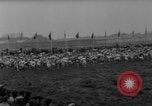 Image of Belgium Cross Populaire Belgium, 1961, second 10 stock footage video 65675055896