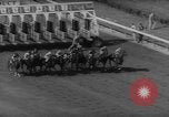 Image of New York Handicap Triple New York United States USA, 1961, second 18 stock footage video 65675055899