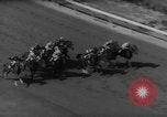 Image of New York Handicap Triple New York United States USA, 1961, second 21 stock footage video 65675055899